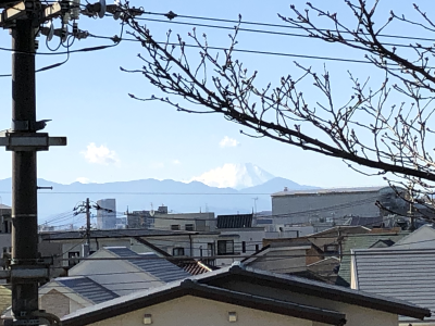 富士山2019